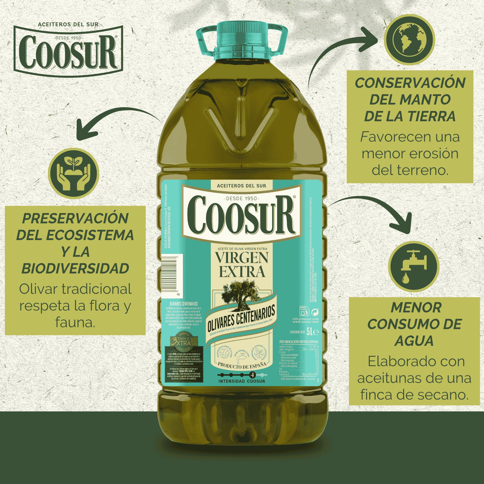 Aceite de oliva virgen extra Coosur Olivares Centenarios 5L - Image 3