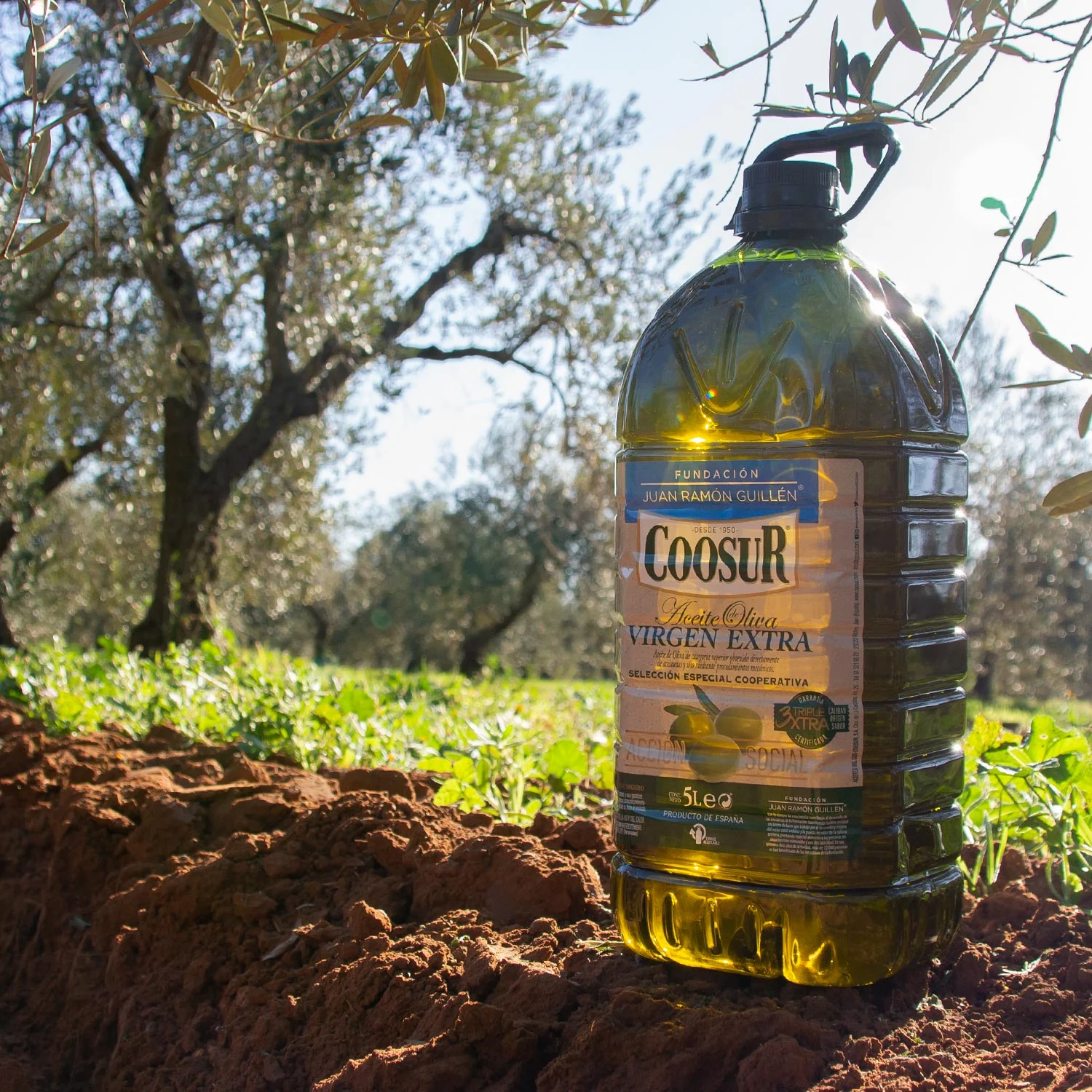 Aceite de Oliva Virgen Extra 5L Selección Cooperativa FJRG - Image 3